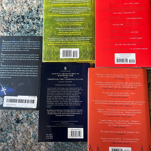 Mixed Young Adult Book Lot (5) - Picture 4 of 5